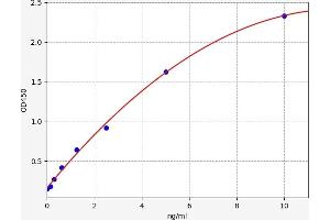 Typical standard curve (TNFSF8 ELISA 试剂盒)
