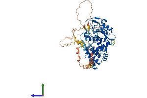 Protein Structure (PS) image for Archaelysin Family Metallopeptidase 1 (AMZ1) (AA 1-498) protein (His tag) (ABIN7552275)
