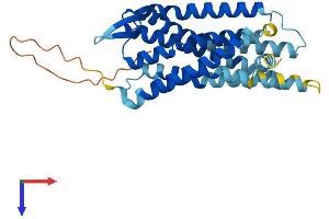 AlphaFold protein structure predicition of Mouse Recombinant Npbwr1 Protein, UniprotID P49681
