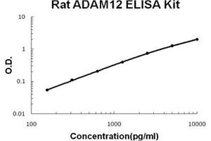 Rat ADAM12 PicoKine ELISA Kit standard curve (ADAM12 ELISA 试剂盒)