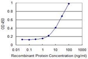 Detection limit for recombinant GST tagged CXCL16 is 1 ng/ml as a capture antibody. (CXCL16 抗体  (AA 49-273))