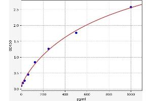Interleukin 7 (IL7) ELISA Kit