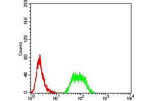 Flow cytometric analysis of SMMC-7721 cells using NAA10 mouse mAb (green) and negative control (red). (NAA10 抗体  (AA 111-235))