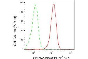 Flow cytometric analysis of SRPK2 expression in HepG2 cells using SRPK2 antibody (ABIN7800327), 1:2,000). (SRPK2 抗体)