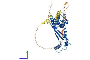 AlphaFold protein structure predicition of Mouse Recombinant Dedd Protein, UniprotID Q9Z1L3