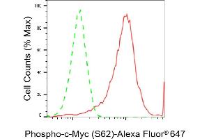Flow cytometric analysis of Phospho-c-Myc (S62) expression in HeLa cells using Phospho-c-Myc (S62) antibody (ABIN7799503), 1:2,000). (Recombinant c-MYC 抗体  (pSer62))