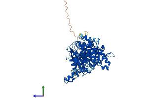 Protein Structure (PS) image for CTP Synthase II (CTPS2) (AA 1-586) protein (His tag) (ABIN7551125)