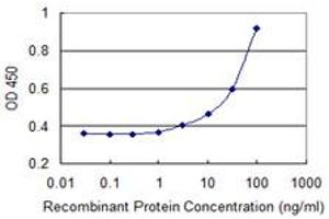 Detection limit for recombinant GST tagged LIMD1 is 1 ng/ml as a capture antibody. (LIMD1 抗体  (AA 577-674))