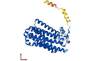 AlphaFold protein structure predicition of Human Recombinant PAQR8 Protein, UniprotID Q8TEZ7