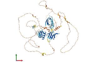 AlphaFold protein structure predicition of Mouse Recombinant Dvl2 Protein, UniprotID Q60838 (DVL2 Protein (AA 1-736) (His tag))