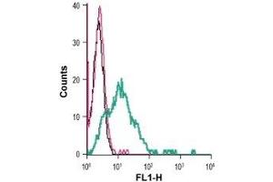Flow Cytometry (FACS) image for anti-Solute Carrier Family 2 (Facilitated Glucose Transporter), Member 1 (SLC2A1) (AA 41-55), (Extracellular) antibody (FITC) (ABIN7043693)