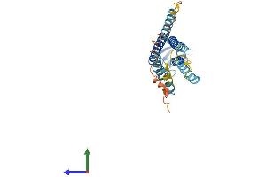 Protein Structure (PS) image for Gap Junction Protein, beta 5, 31,1kDa (GJB5) (AA 1-273) protein (His tag) (ABIN7546876)