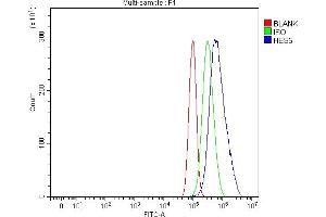 Flow Cytometry analysis of PC-3 cells using anti-HES5 antibody (ABIN7598966).