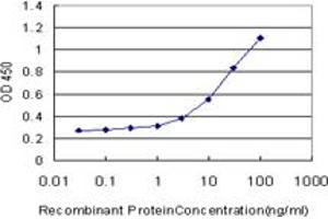 Detection limit for recombinant GST tagged GRN is approximately 1ng/ml as a capture antibody. (Granulin 抗体  (AA 494-593))