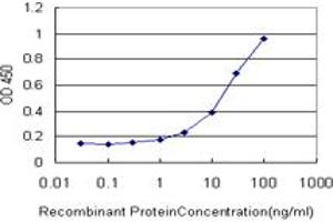 ELISA image for anti-C-terminal Binding Protein 1 (CTBP1) (AA 1-429) antibody (ABIN560518)