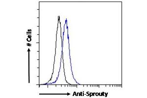Flow Cytometry (FACS) image for anti-Sprouty Homolog 1, Antagonist of FGF Signaling (SPRY1) (C-Term) antibody (ABIN570913)