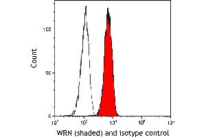 Flow Cytometry (FACS) image for anti-Werner syndrome RecQ like helicase (WRN) (C-Term) antibody (ABIN7795757) (Recombinant RECQL2 抗体  (C-Term))