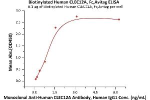 ELISA image for C-Type Lectin Domain Family 12, Member A (CLEC12A) (AA 65-265) (Active) protein (AVI tag,Fc Tag,Biotin) (ABIN6973030)