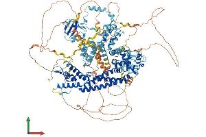 Protein Structure (PS) image for Glutamate Receptor, Ionotropic, delta 2 (Grid2) Interacting Protein (GRID2IP) (AA 1-1203) protein (His tag) (ABIN7563620)
