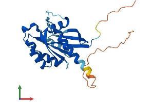 Protein Structure (PS) image for RAB19, Member RAS Oncogene Family (RAB19) (AA 1-217) protein (His tag) (ABIN7563162)