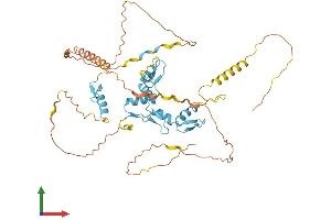 Protein Structure (PS) image for MYC-Associated Zinc Finger Protein (Purine-Binding Transcription Factor) (MAZ) (AA 1-477) protein (His tag) (ABIN7549293)