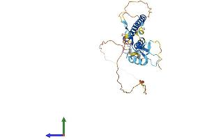 Protein Structure (PS) image for Rabphilin 3A-Like (Without C2 Domains) (RPH3AL) (AA 1-302) protein (His tag) (ABIN7558162)