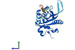 Protein Structure (PS) image for Josephin Domain Containing 2 (JOSD2) (AA 1-188) protein (His tag) (ABIN7548673)