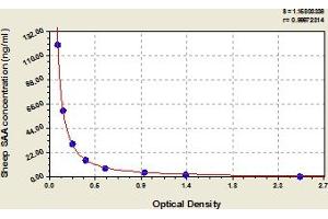 SAA1 ELISA 试剂盒