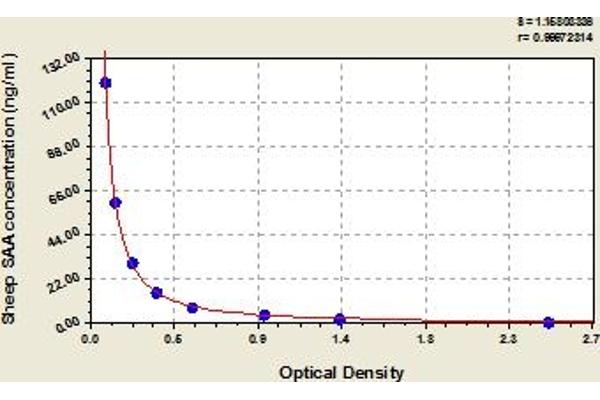 SAA1 ELISA 试剂盒