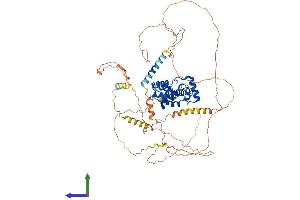 AlphaFold protein structure predicition of Mouse Recombinant Myb Protein, UniprotID P06876