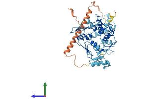 Protein Structure (PS) image for Zinc Finger Protein 485 (ZNF485) (AA 1-441) protein (His tag) (ABIN7545659)