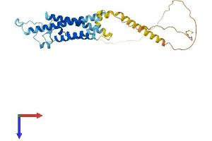 AlphaFold protein structure predicition of Human Recombinant MS4A1 Protein, UniprotID P11836 (CD20 Protein (AA 1-297) (His tag))