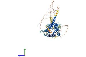 Protein Structure (PS) image for Glucagon-Like Peptide 2 Receptor (GLP2R) (AA 1-553) protein (His tag) (ABIN7548071)