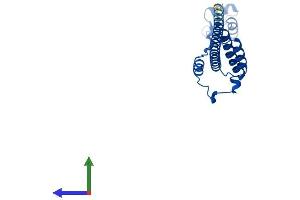 Protein Structure (PS) image for Ribosomal Protein L19 (RPL19) (AA 1-196) protein (His tag) (ABIN7551429)