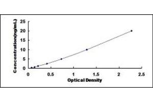 Typical standard curve (RAB37 ELISA 试剂盒)