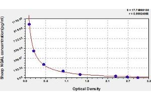 Typical Standard Curve (Lipocalin 2 ELISA 试剂盒)