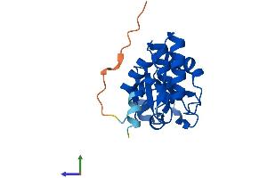 Protein Structure (PS) image for Dual Specificity Phosphatase 21 (DUSP21) (AA 1-189) protein (His tag) (ABIN7561165)