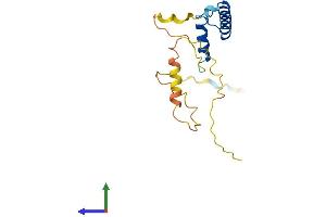 Protein Structure (PS) image for Inhibitor of DNA Binding 4, Dominant Negative Helix-Loop-Helix Protein (ID4) (AA 1-161) protein (His tag) (ABIN7548442)
