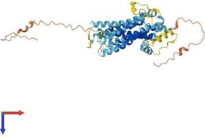 AlphaFold protein structure predicition of Human Recombinant TMEM184A Protein, UniprotID Q6ZMB5