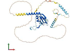 AlphaFold protein structure predicition of Human Recombinant RBM48 Protein, UniprotID Q5RL73 (C7orf64 Protein (AA 1-367) (His tag))