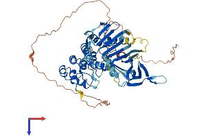 ANKRD13C Protein (AA 1-541) (His tag)