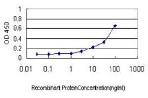 Detection limit for recombinant GST tagged ATG12 is approximately 1ng/ml as a capture antibody. (ATG12 抗体  (AA 1-74))