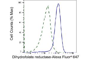 Validation of Dihydrofolate reductase knockdown using flow cytometry. (Recombinant Dihydrofolate Reductase 抗体)