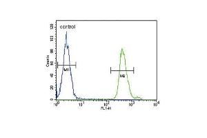 SD3- Antibody (ABIN653953 and ABIN2843175) flow cytometric analysis of MDA-M cells (right histogram) compared to a negative control cell (left histogram). (SMAD3 抗体  (AA 186-215))