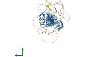 Protein Structure (PS) image for SEC31 Homolog A (SEC31A) (AA 1-1230) protein (His tag) (ABIN7563739)