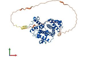 Protein Structure (PS) image for Cyclin B2 (CCNB2) (AA 1-398) protein (His tag) (ABIN7553207)
