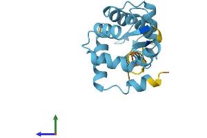 AlphaFold protein structure predicition of Mouse Recombinant Tnnc1 Protein, UniprotID P19123
