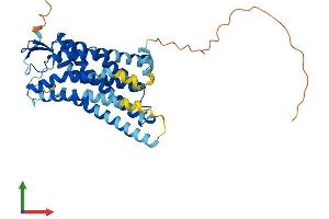 AlphaFold protein structure predicition of Mouse Recombinant Agtr1a Protein, UniprotID P29754