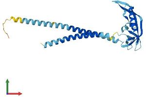 Protein Structure (PS) image for Potassium Large Conductance Calcium-Activated Channel, Subfamily M, beta Member 2 (KCNMB2) (AA 1-235) protein (His tag) (ABIN7560795)