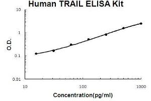 ELISA image for Tumor Necrosis Factor (Ligand) Superfamily, Member 10 (TNFSF10) ELISA Kit (ABIN921077)